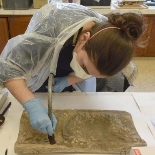 entretien des collections